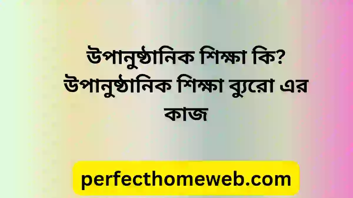 উপানুষ্ঠানিক শিক্ষা কি? উপানুষ্ঠানিক শিক্ষা ব্যুরো এর কাজ