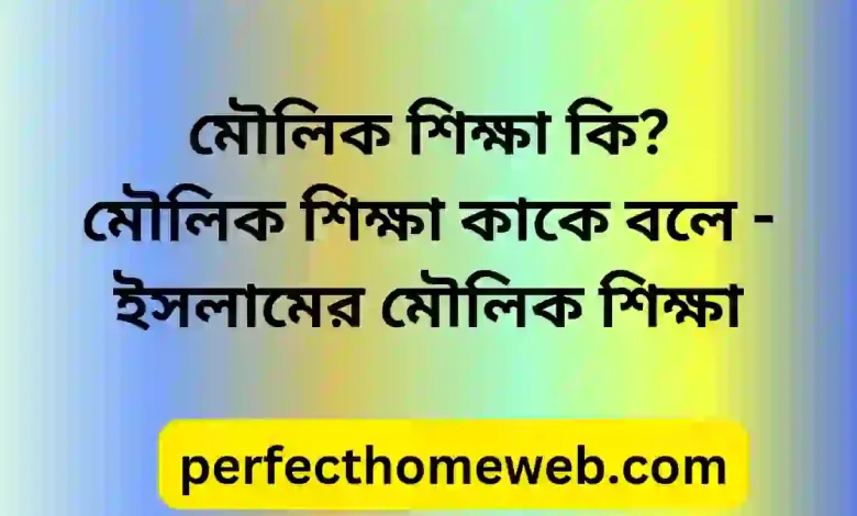 শিক্ষা কি মৌলিক শিক্ষা কাকে বলে ইসলামের মৌলিক শিক্ষা