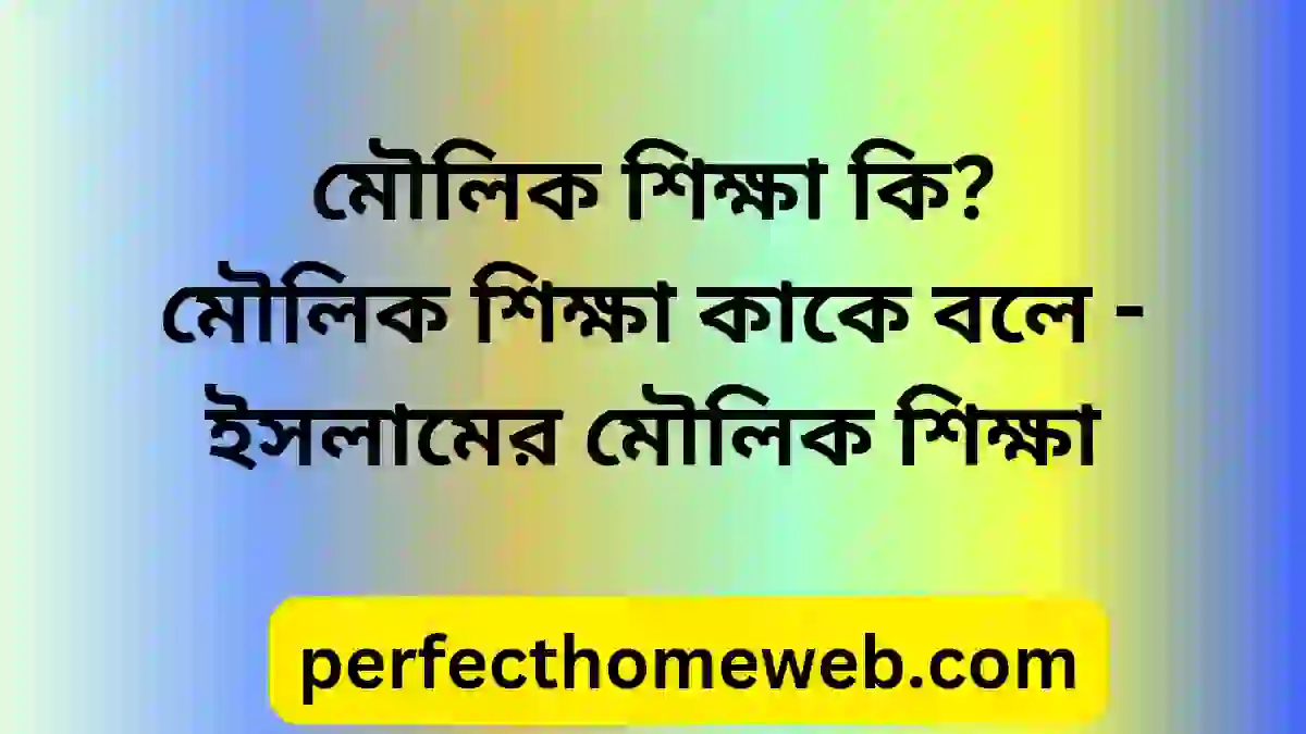 মৌলিক শিক্ষা কি? মৌলিক শিক্ষা কাকে বলে - ইসলামের মৌলিক শিক্ষা