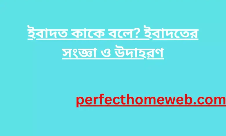 সমবায় ব্যবস্থা কীভাবে অপরকে সক্রিয় হতে শেখায় ব্যাখ্যা কর (2)