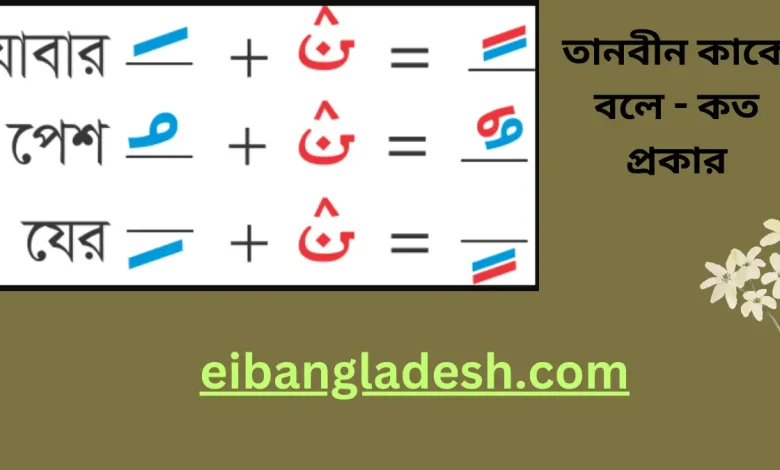 তানবীন কাকে বলে কত প্রকার