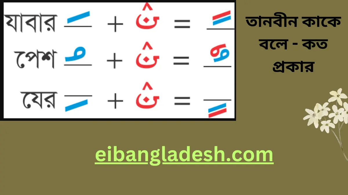 তানবীন কাকে বলে কত প্রকার