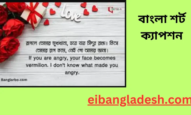 বাংলা শর্ট ক্যাপশন