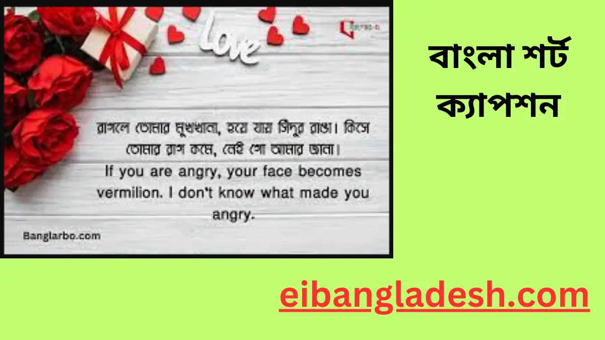 বাংলা শর্ট ক্যাপশন