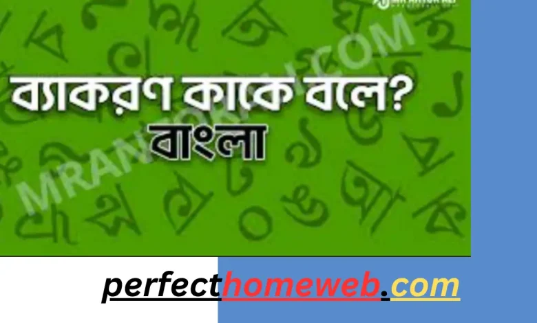 ব্যাকরণ কি ব্যাকরণ কাকে বলে কত প্রকার ও কি কি এবং তাদের প্রত্যেকটির সংঙ্গা