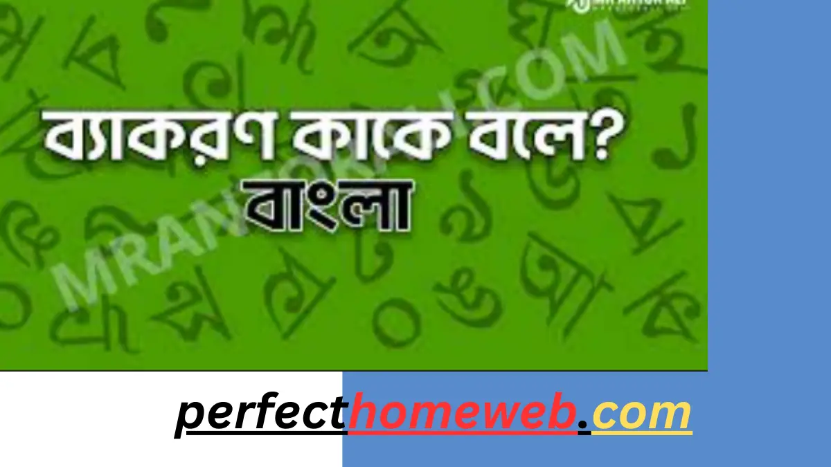 ব্যাকরণ কি ব্যাকরণ কাকে বলে কত প্রকার ও কি কি এবং তাদের প্রত্যেকটির সংঙ্গা