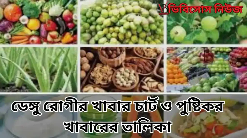 ডেঙ্গু রোগীর খাবার চার্ট ও পুষ্টিকর খাবারের তালিকা