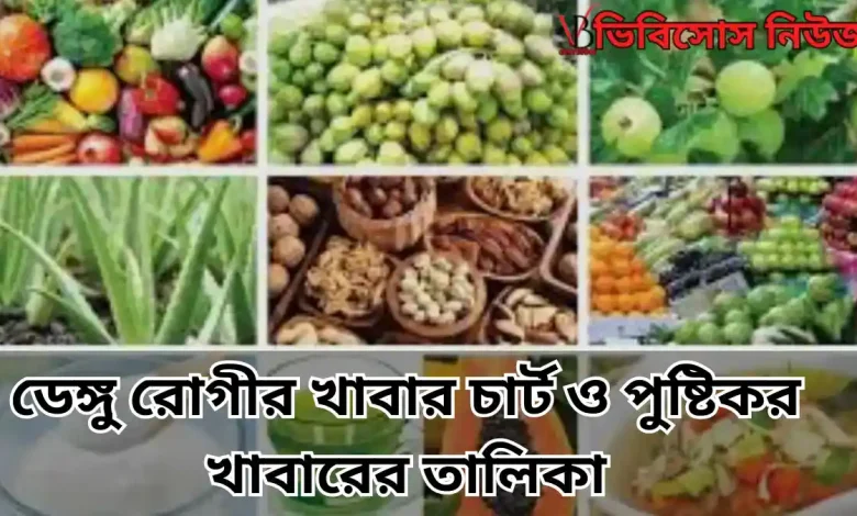 ডেঙ্গু রোগীর খাবার চার্ট ও পুষ্টিকর খাবারের তালিকা